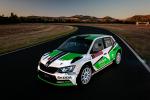 Skoda Fabia R5 2015 года